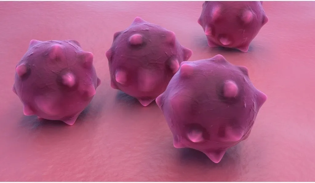 early pancreatic cancer symptoms