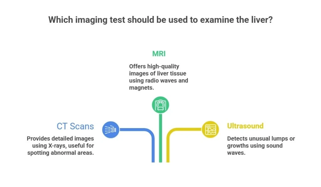 Which imaging test should be used to examine the liver